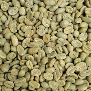 โรบัสต้าเมล็ดกาแฟสีเขียว S18ไม่คั่วเป็นธรรมชาติคุณภาพสูงออกแบบแบรนด์ได้โดยตรงจากเวียดนาม - Product Image 5