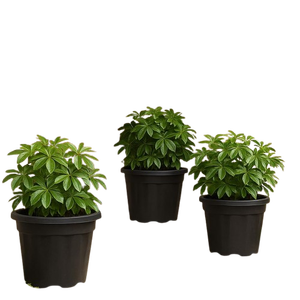ZARA ENTERPRISES Treated <b>Plastic</b> <b>Large</b> Plant Pots for Big Size Plants 18 Inch Black Color Set of 3 <b>Planters</b> - Product Image 5