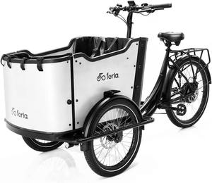 Vélo cargo électrique avec batterie longue autonomie, cadre robuste, assistance au pédalage et solution de livraison urbaine écologique - Product Image 4