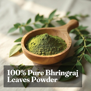 GMP Certified Bhringraj Powder (Eclipta Alba) | Food Grade Herbal Powder | Natural <b>Plant</b>-Based | <b>Dried</b> | 99% Purity | Bulk - Product Image 4