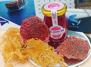 เจลสาหร่ายทะเลออร์แกนิกปรุงรส EXPAD แบบแห้ง ผลิตจากพืชทะเล ผ่านกระบวนการอบแห้งด้วยวิธี AD - Product Image 4