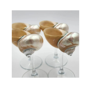 Mosaïque de coquillages polie à thème animalier en matériaux organiques avec des taches blanches, caramel et brunes, artisanat - Product Image 3