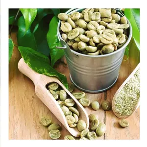 بيع بالجملة قهوة خضراء فيتنامية عالية الجودة بأفضل سعر حبوب أرابيكا للاستيراد حبوب قهوة خام ذات نوعية جيدة