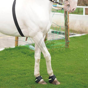 Alexandria Industries fabrica botas de cuero para caballos con logotipo personalizado, botas de equitación de cuero de buena calidad al por mayor. - Product Image 5