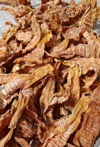 Brotes de Bambú Natural Bebé Brotes de Bambú de Vietnam Limpio y Listo PARA LA Exportación - Product Image 2