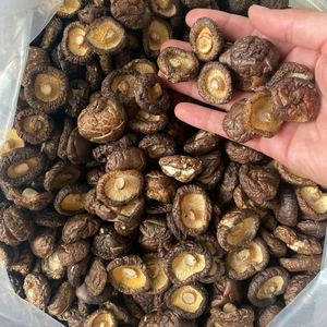 เห็ดชิตาเกะแห้งเวียดนาม เห็ดตากแดดธรรมชาติ ผู้จัดจำหน่ายขายส่งสำหรับตลาดส่งออก - Product Image 1