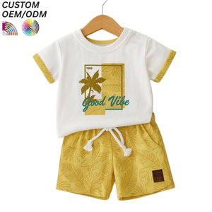 Ensemble de vêtements 2 pièces pour garçons 100% coton, t-shirt et short décontractés pour enfants, toutes saisons, support OEM ODM, vente en gros, personnalisable - Product Image 3