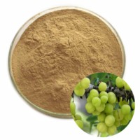 Best verkochte kruiden Amla poeder, natuurlijk Indiaas, 250g Amla poeder, Phyllanthus Emblica poeder, groothandel leverancier, OEM fabrikant India