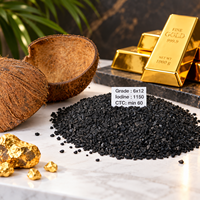 Charbon actif granulaire Vitronexa en coque de noix de coco 99% min, qualité 6x12, pour la récupération de l'or, résistant à l'humidité, certifié ISO, 25 kg