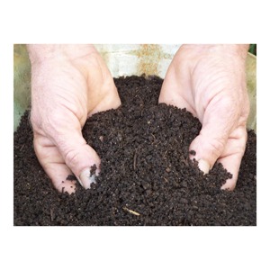 Engrais de compost vermicomposté de qualité export pour les marchés agricoles biologiques internationaux et les chaînes d'approvisionnement agricoles - Product Image 6