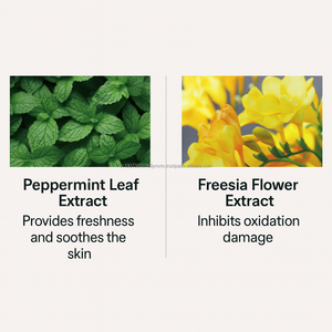 Crème BB coréenne OEM SPF34 PA+++ Effet Peau de Verre Lactée, Essence Éclatante pour Tous Types de Peau - Product Image 2