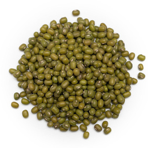 Haricots Mungo Verts en Gros, Haricots Mungo Verts Décortiqués - Product Image 4