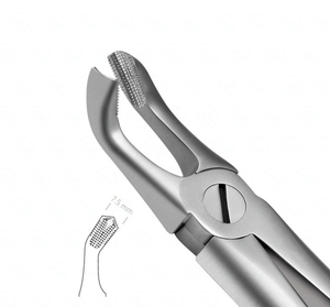 Instruments chirurgicaux pour l'extraction dentaire des racines, modèle anglais, pour les procédures dentaires en clinique et hôpital - Product Image 6
