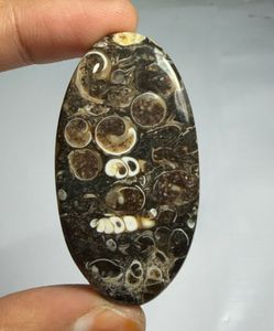 หินอาเกต TURRITELLA แบบคาโบชอง ขายส่งเป็นล็อตตามน้ำหนัก มีรูปทรงและขนาดต่างๆ ใช้สำหรับทำเครื่องประดับ - Product Image 1