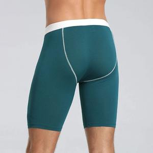 Nouveauté : Shorts de compression personnalisables avec logo, faible MOQ, pour hommes, course et gym, prix de gros, tarif abordable - Product Image 3