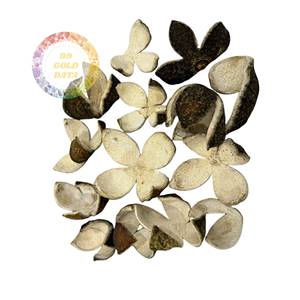 Cáscara de Mandarina Seca Premium Chenpi, Añejada Durante 5 Años, Natural, Baja Humedad, para Té de Hierbas, Exportación - Product Image 1