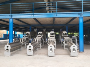 Máquina peladora de anacardos Automática Avanzada de 200-250 kg/h, 2 cabezales con los mejores componentes eléctricos, pelador de nueces, fruta, nueva condición - Product Image 5