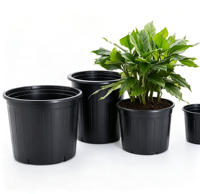 Pots de semis en plastique noir pour plantes d'extérieur, pépinière, pots de fleurs de jardin, pots d'intérieur pour succulentes