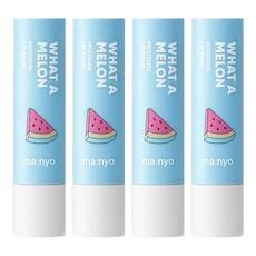 Balsamo Labbra Idratante al Gusto di Frutta Discount Witch Factory 4g/4pz - Che Melone! - Product Image 1