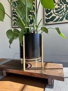 Maceta de Metal Negra con Soporte Dorado, Estilo Moderno de Mediados de Siglo, Elegante Exhibidor de Plantas para Interiores, para Sala de Estar - Product Image 1
