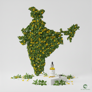 Huile essentielle de myrte de qualité constante pour la distribution B2B aux fabricants de produits cosmétiques et de bien-être - Product Image 6