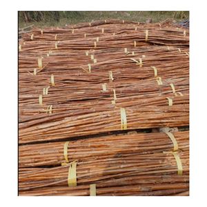 Noyau de rotin naturel de qualité supérieure pour projets de bricolage faits main, paniers, artisanat, meubles, matériaux de tressage, qualité export - Product Image 5