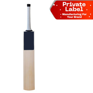 Equipo Profesional de Cricket, Bate de Cricket de Diseño Personalizado, Equipo para el Día del Partido, Juego de Bate y Pelota de Cricket de Plástico para Niños, Seguro para Interiores y Exteriores - Product Image 1