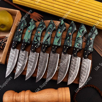 Couteau de usage quotidien moderne UA Supplies, forgé à la main, en acier Damas professionnel, à lame pleine, ambidextre, avec manche ergonomique en résine, 4,5 pouces