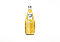 RITA Passievrucht & Basilicumzaad drank met natuurlijke ingrediënten 290ml fles 18 maanden houdbaarheid