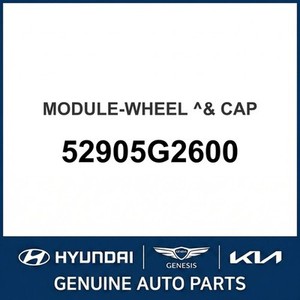 IONIQ New <b>Wheel</b> <b>Center</b> <b>Caps</b> 52905G2600 - Product Image 1