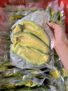 Avocat Congelé IQF en Demi-Brins Naturels pour Tacos, Bols, Plateaux de Traiteur, Manipulation Sûre, Origine Vietnam, Emballage Sous Vide en Vrac - Product Image 5
