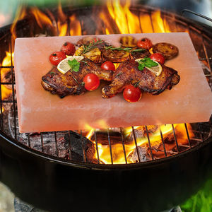 Mejor Placa de Ladrillos de Sal Rosa del Himalaya Tallada Ecológica para Cocinar BBQ con Soporte Premium de Hierro/Acero Inoxidable para el Hogar - Product Image 1