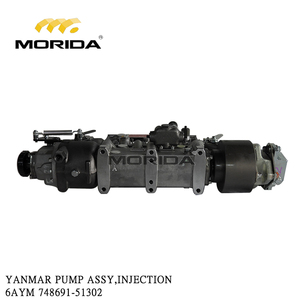 POMPE ASSY, INJECTION 6AYM 748691-51302 pour YANMAR - Product Image 5