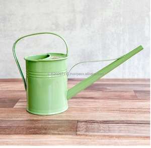 Grand arrosoir galvanisé avec construction durable et bec mince pour un arrosage précis des plantes suspendues et un décor de plantes d'intérieur - Product Image 5