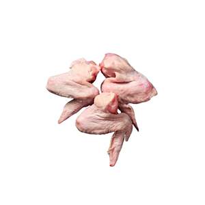 Alas de Pollo Congeladas Frescas, Certificadas Halal, Proveedor Mayorista de Grandes Cantidades, Descuento Especial, Envío Rápido a Todo el Mundo - Product Image 5