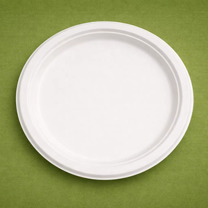 Eco-friendly Biodegradable Compostable Bagasse Classic <b>Disposable</b> Round <b>Plate</b> for Dinner Party Restaurant Axiom Exports - Product Image 1