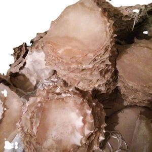 Venta Directa de Fábrica de Piel de Tambor, Varios Tamaños de Tambor de Cintura y Otras Pieles de Tambor, Piel de Vaca Natural - Product Image 1