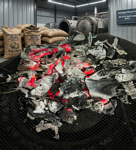 Solución de carbón de cáscara de coco con excelente eficiencia energética, baja humedad y alto contenido de carbono para briquetas y uso de combustible limpio. - Product Image 2