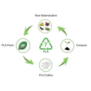 Greenday Couverts en CPLA biodégradables Cuillère en plastique jetable Cuillère compostable pour thé et café Couverts à la fécule de maïs - Product Image 6