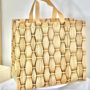 WEPAC PP Non-Woven <b>Bag</b> OEM/ODM D-cut Custom Color Heat <b>Seal</b> Silk Screen Printing Vietnam Disposable Daily Use - Product Image 1