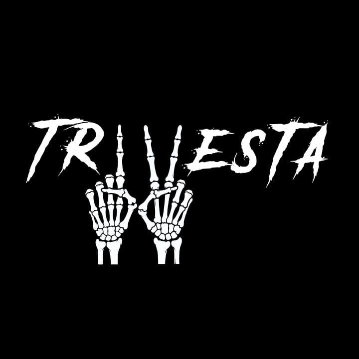 TRIVESTA INTERNATIONAL logo