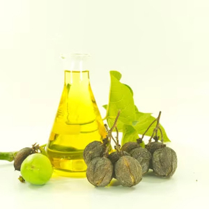 Fabrication de biodiesel, traitement industriel, huile de Jatropha pure et raffinée pour la cuisson, exportateur en gros dans le monde entier - Product Image 1