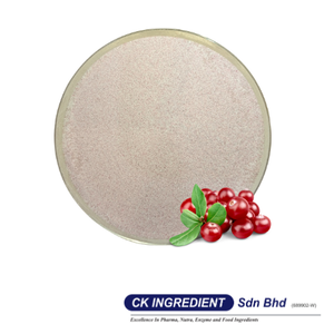 <b>Best</b> Supplier Guarantee Cranberry Juice Powder Premium Quality Halal OEM B2B Top Sale Urinary Health Supplement Beverage Mix - Product Image 2