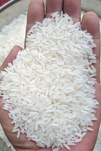 ผู้ส่งออกข้าวชั้นนำในเวียดนาม ข้าวหอมมะลิไทย ข้าวขาวเมล็ดยาว 5กก. 10กก. 18ปอนด์ โซฟี 84964540475 - Product Image 2