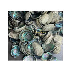 Best Choice Eco-Friendly Large Natural <b>Abalone</b> Seashells Angel Bowl 4-4.5 Inches VIETCHOICE Wedding Gift Directly Vietnam's - Product Image 3