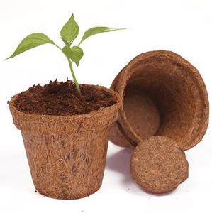 Pot en fibre de coco écologique pour jeunes plantes, semis et décoration moderne des espaces verts - Product Image 5