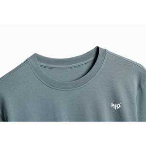 Camiseta de Algodón Personalizada OEM ODM al por Mayor, Cuello Redondo, Manga Corta, Unisex, Fabricante y Proveedor de Ropa - Product Image 2