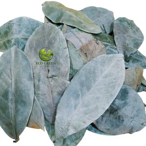 ใบฝรั่งอบแห้ง ชาสมุนไพรธรรมชาติ ใบอันโนน่า มูริคาตา ชาดีท็อกซ์ออร์แกนิก ผู้จัดจำหน่ายเวียดนาม ขายส่งจำนวนมาก - Product Image 3