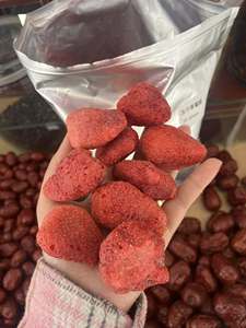 Fresas Liofilizadas Premium a Granel, Snack de Fruta Crujiente Natural Envasado al Vacío, Venta al por Mayor OEM - Sra. Tarina - Product Image 4