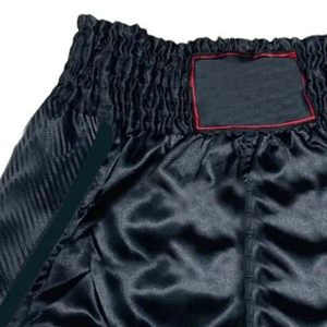 Shorts de Muay Thai pour Hommes 2026 de Qualité Supérieure, Conception Personnalisée, 100% Polyester, Tenue de Boxe et MMA Haut de Gamme, Grande Taille, Arts Martiaux - Product Image 2